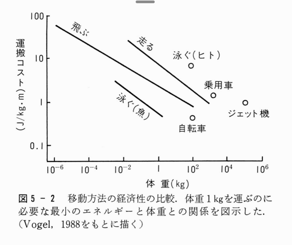 最新のhd ゾウ の 時間 ネズミ の 時間 感想 Ngantuoisoneo4