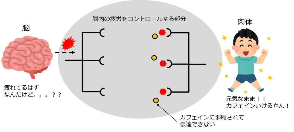 身近な依存症 慢性カフェイン中毒